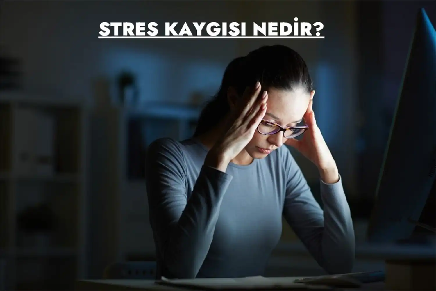 STRES KAYGISI