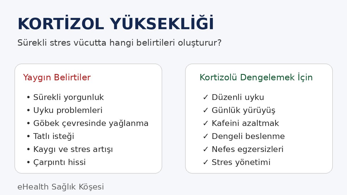Kortizol Nedir?